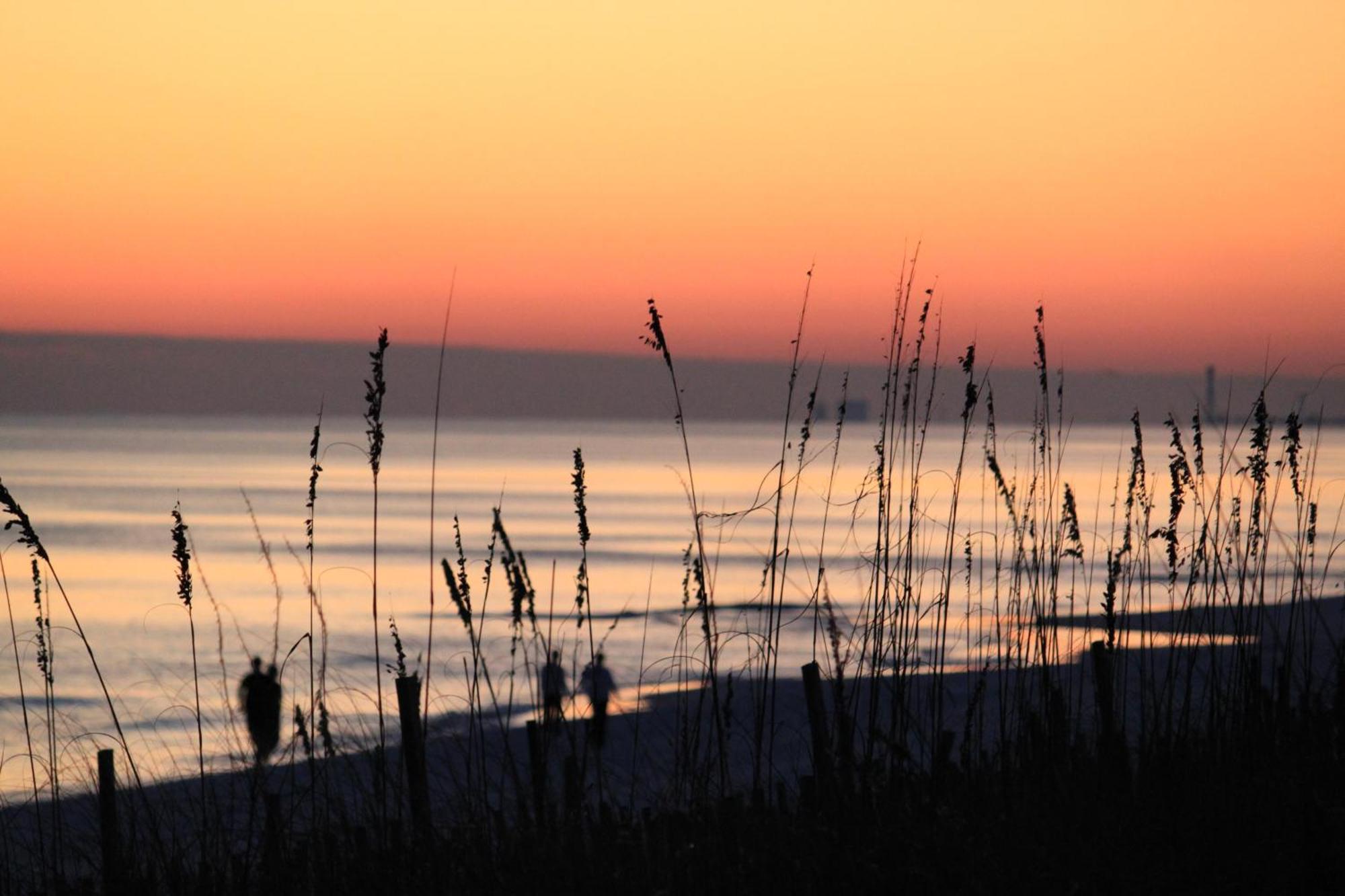 Ariel Dunes II 109 Destin Dış mekan fotoğraf